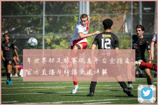 年世界杯足球赛观看平台全指南:官方直播与转播渠道详解