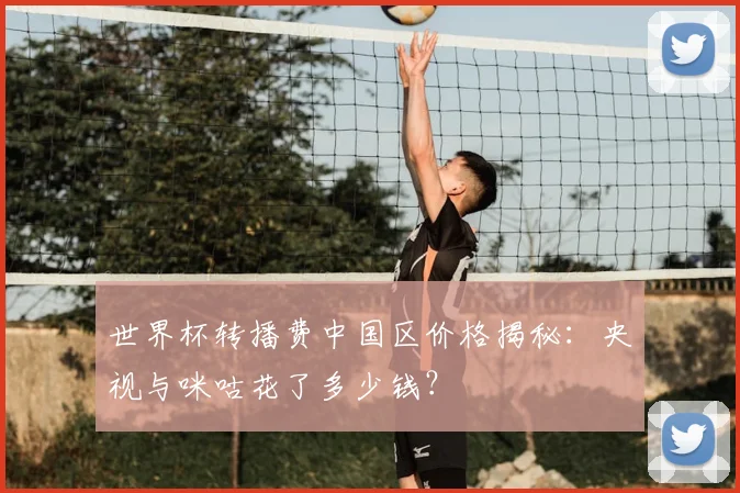 世界杯转播费中国区价格揭秘：央视与咪咕花了多少钱？