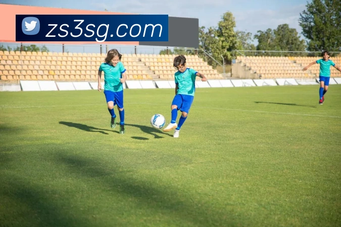 数据分析功能